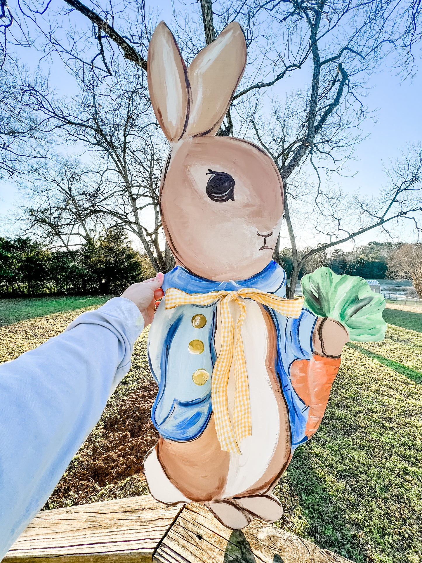 Vintage Peter Rabbit